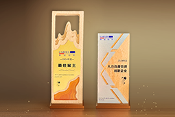 维多利亚老品牌VIC国际一举斩获“2024年度中国区最佳雇主”等多项大奖